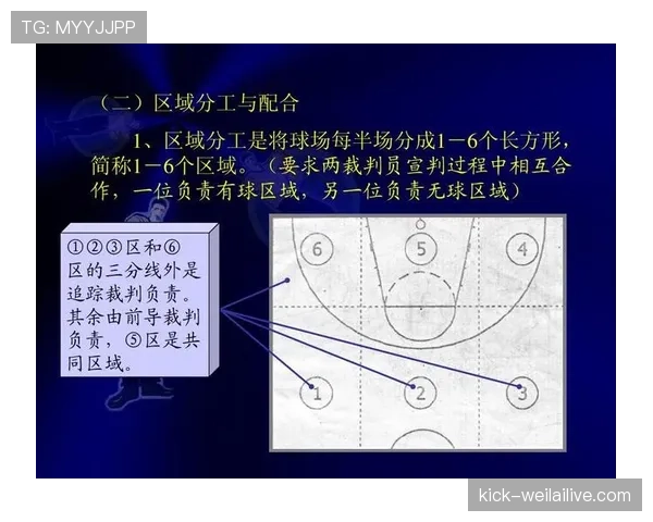 篮球规则中空中对抗判罚的具体依据与裁判尺度是如何界定的